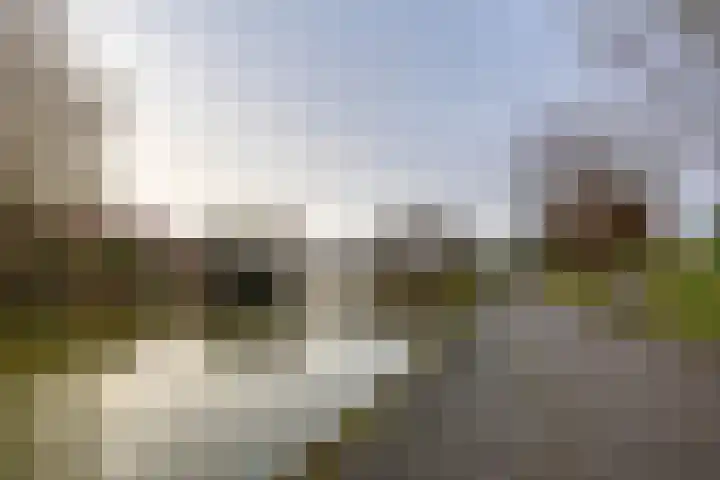 Laan der Kruisheren 119 Harkstede thumbnail 62