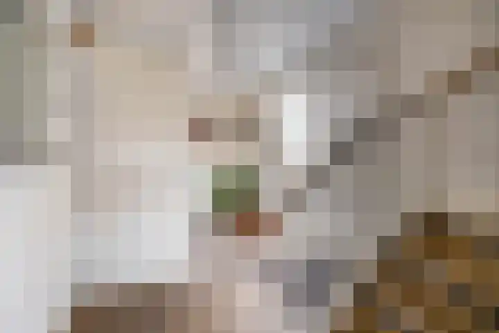 Laan der Kruisheren 119 Harkstede thumbnail 7