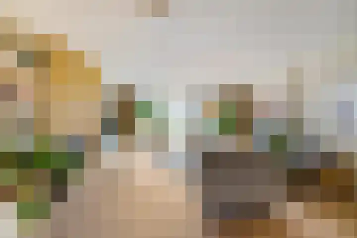 Laan der Kruisheren 127 Harkstede thumbnail 13