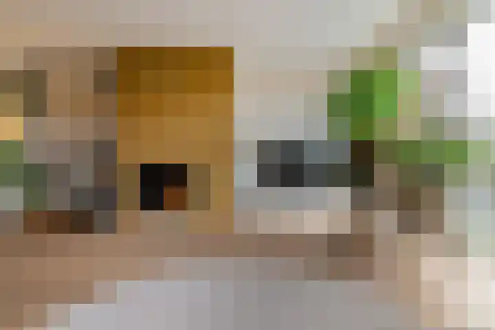 Laan der Kruisheren 127 Harkstede thumbnail 15