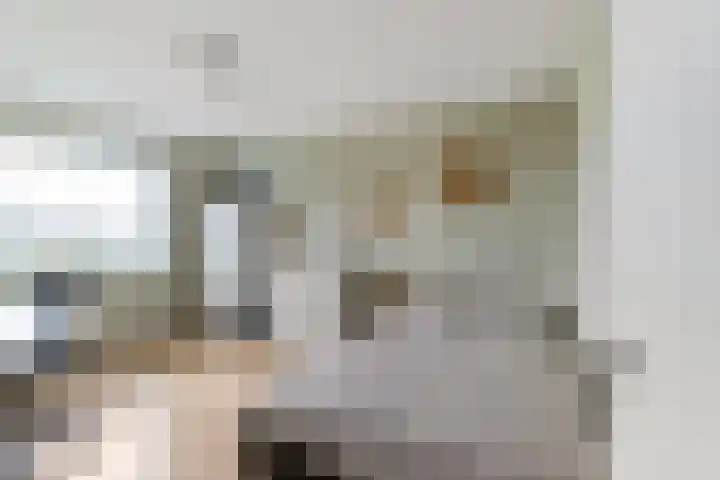 Laan der Kruisheren 127 Harkstede thumbnail 24