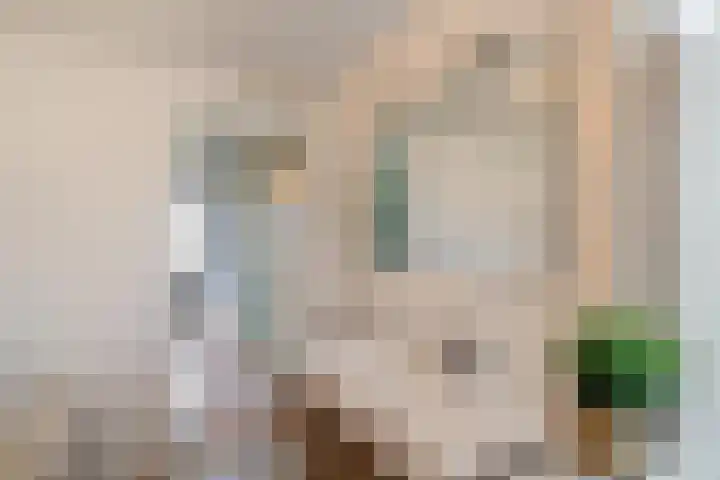 Laan der Kruisheren 127 Harkstede thumbnail 28