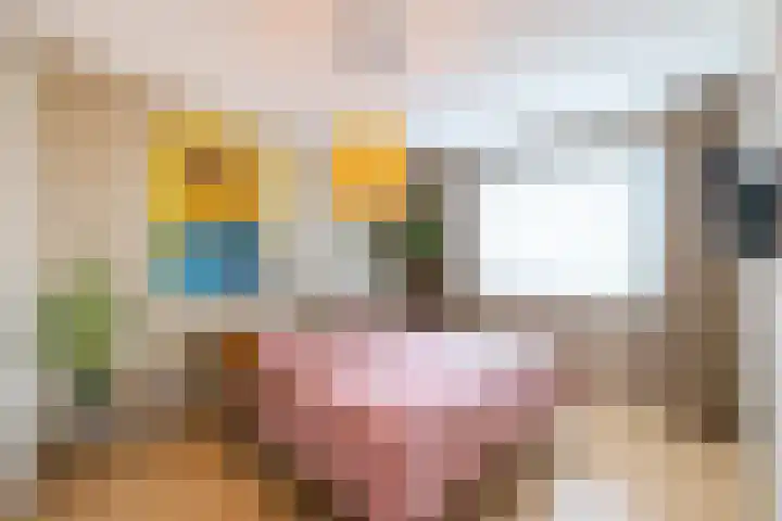 Laan der Kruisheren 127 Harkstede thumbnail 31