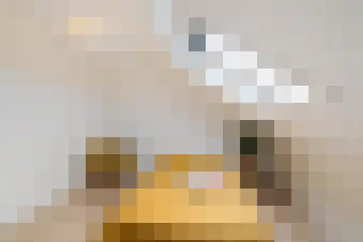 Laan der Kruisheren 127 Harkstede thumbnail 35
