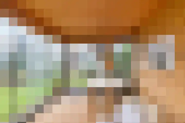 Laan der Kruisheren 127 Harkstede thumbnail 44