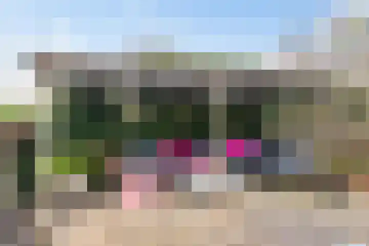 Laan der Kruisheren 127 Harkstede thumbnail 45