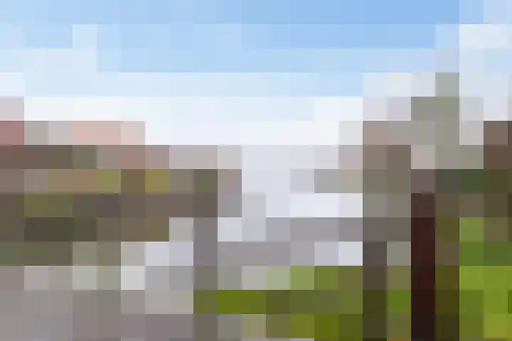 Laan der Kruisheren 127 Harkstede thumbnail 51