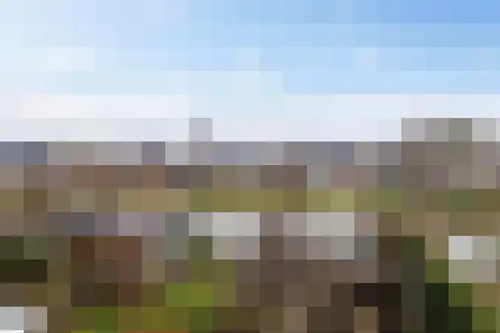 Laan der Kruisheren 127 Harkstede thumbnail 53