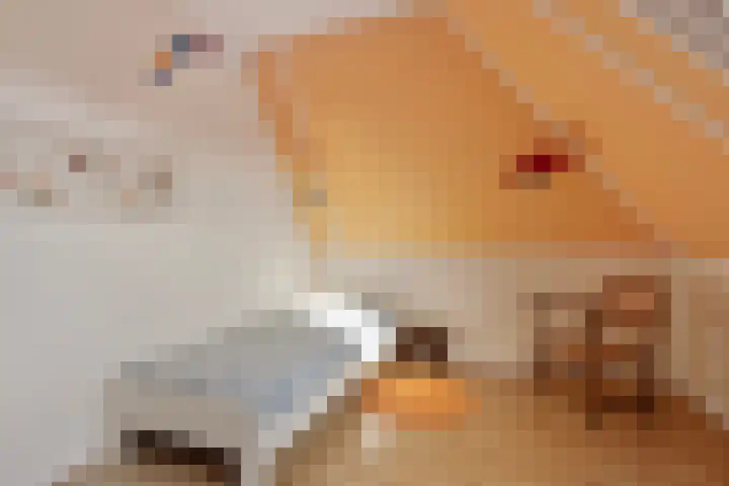 Laan der Kruisheren 137 Harkstede thumbnail 29