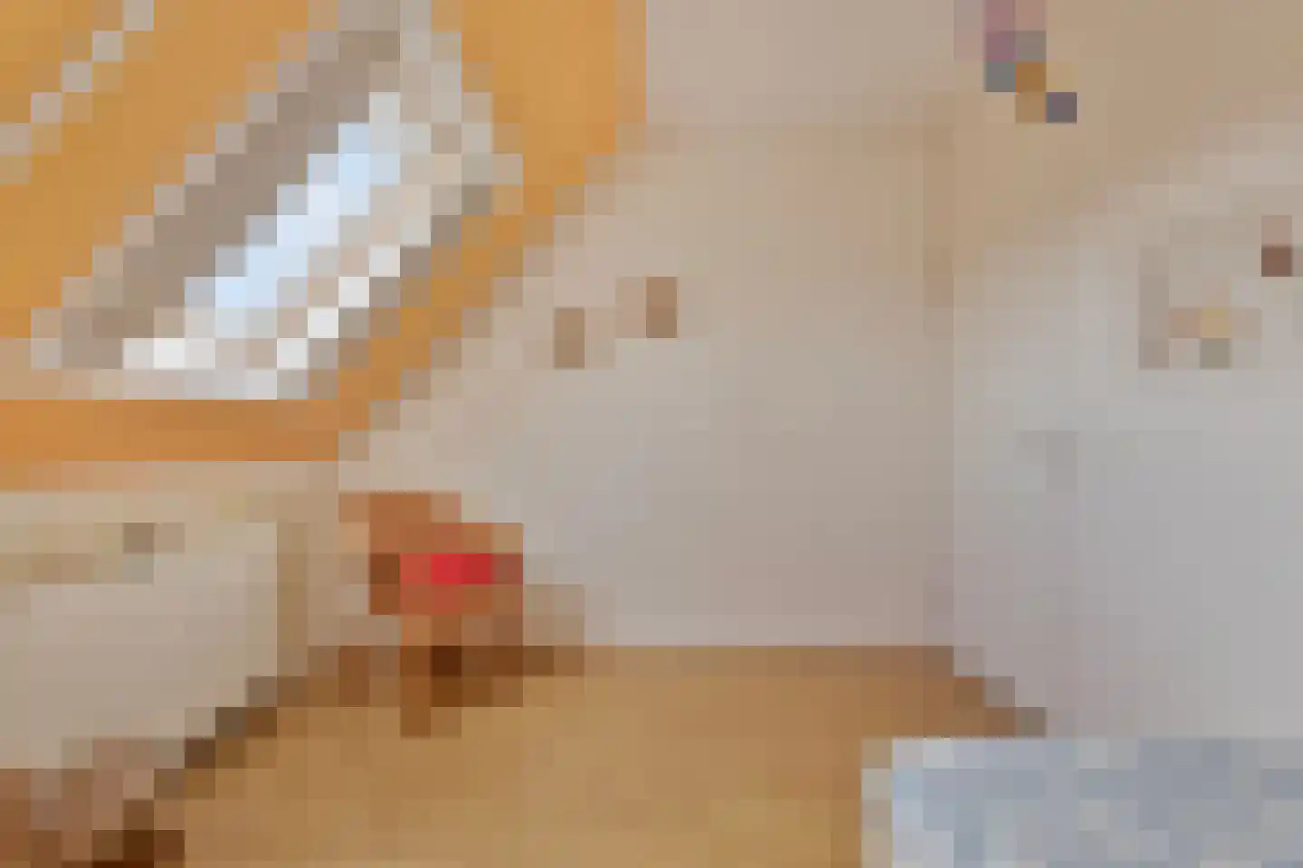 Laan der Kruisheren 137 Harkstede thumbnail 30