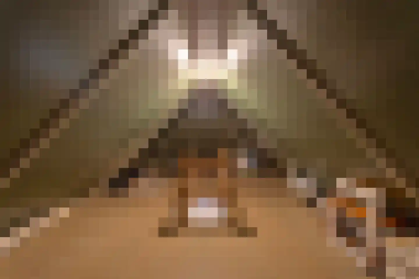 Laan der Kruisheren 137 Harkstede thumbnail 33