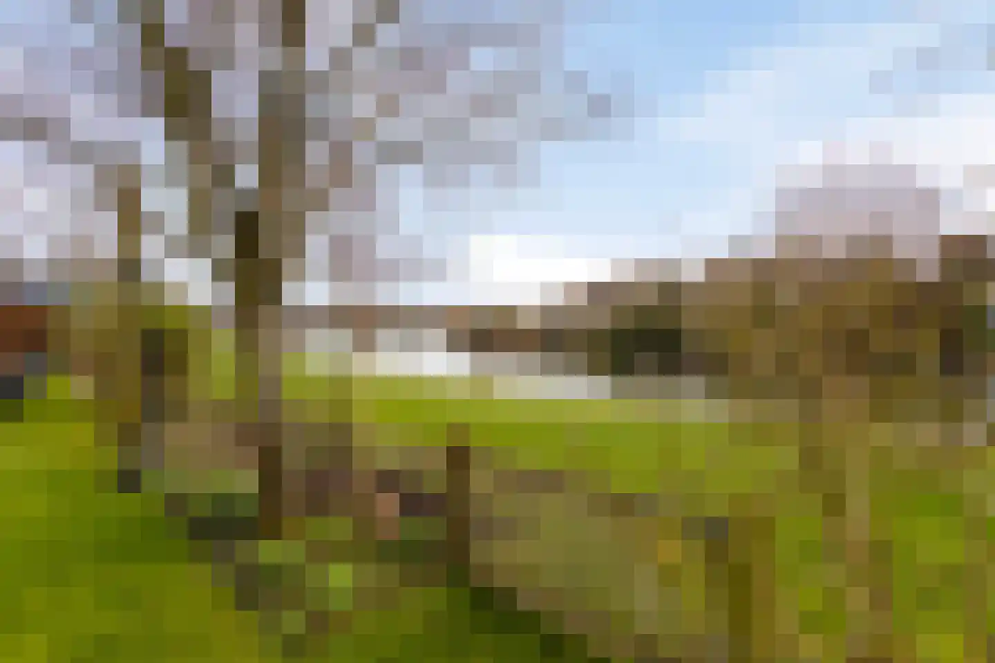 Laan der Kruisheren 137 Harkstede thumbnail 39