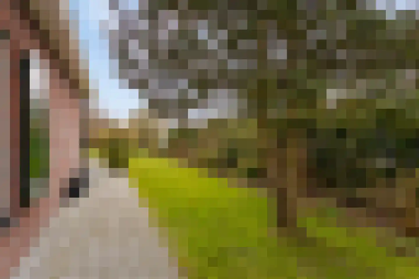 Laan der Kruisheren 137 Harkstede thumbnail 42