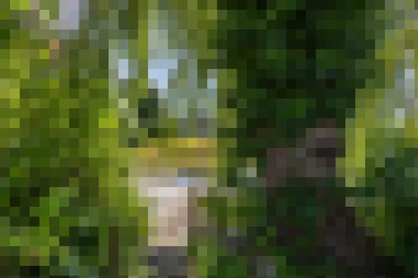 Laan der Kruisheren 36 Harkstede thumbnail 31
