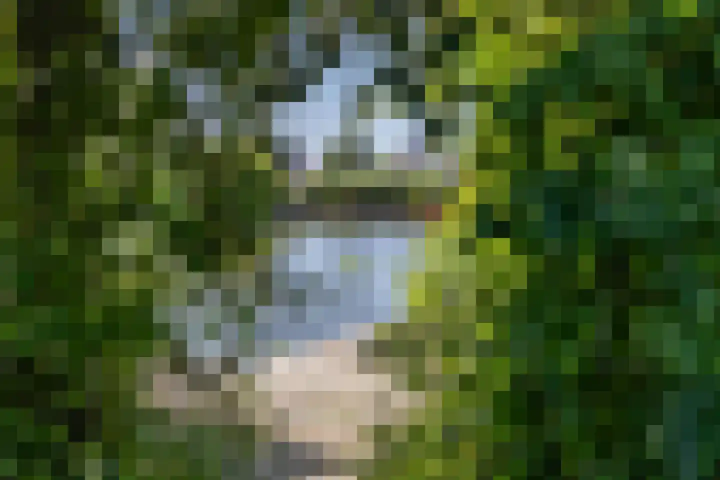 Laan der Kruisheren 36 Harkstede thumbnail 36