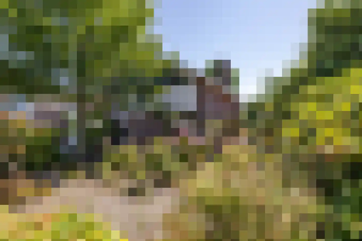 Laan der Kruisheren 36 Harkstede thumbnail 4