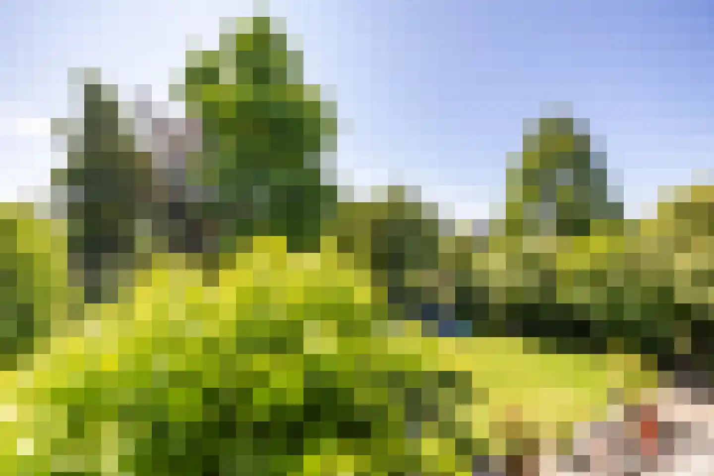 Laan der Kruisheren 36 Harkstede thumbnail 52