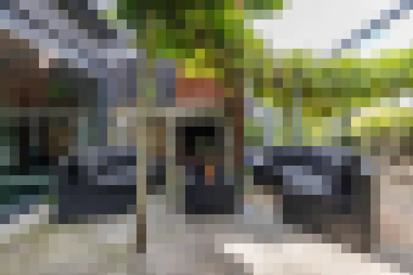 Laan der Kruisheren 48 Harkstede thumbnail 25
