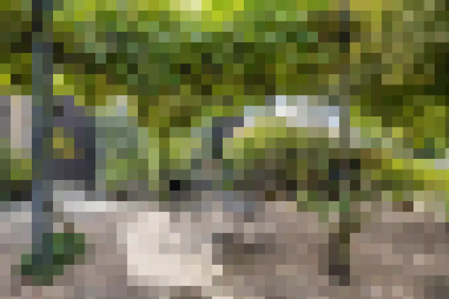 Laan der Kruisheren 48 Harkstede thumbnail 27