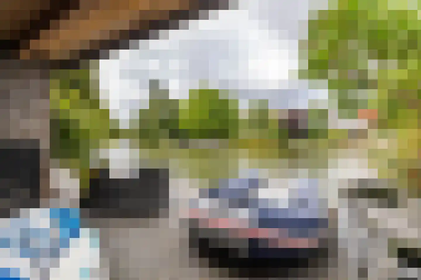 Laan der Kruisheren 48 Harkstede thumbnail 31