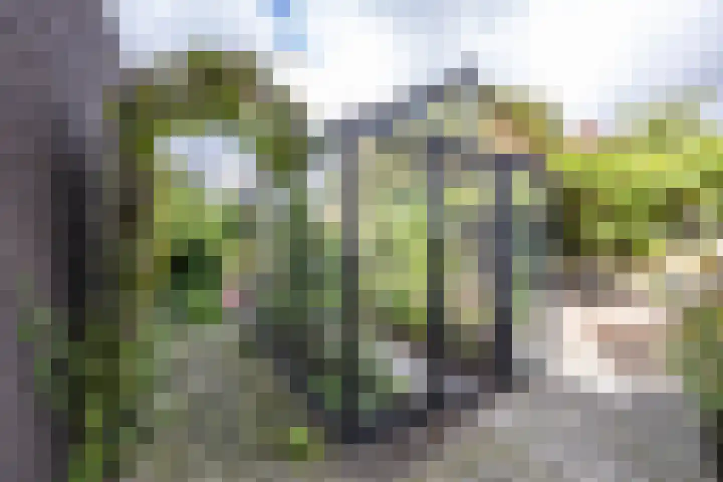 Laan der Kruisheren 48 Harkstede thumbnail 35