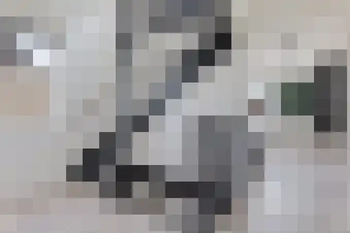 Laan der Kruisheren 59 Harkstede thumbnail 38