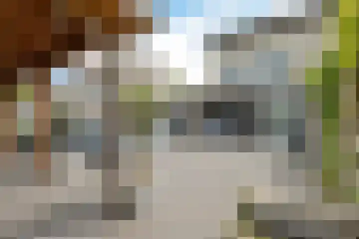 Laan der Kruisheren 59 Harkstede thumbnail 44