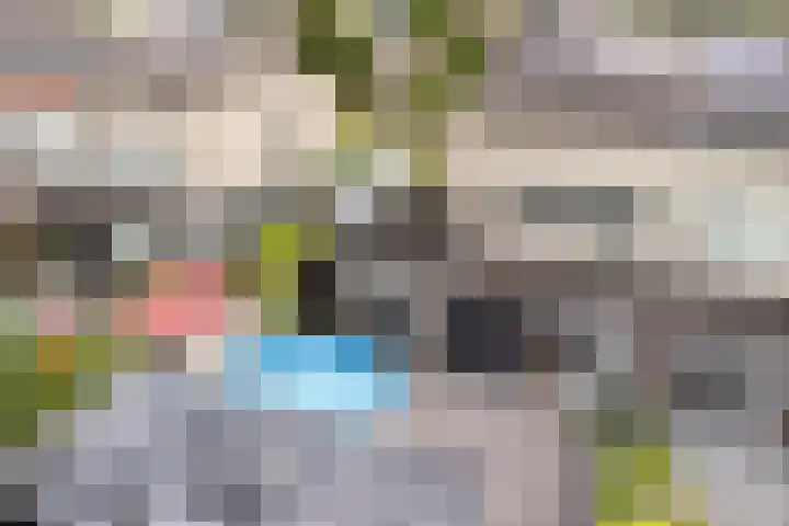 Laan der Kruisheren 59 Harkstede thumbnail 48