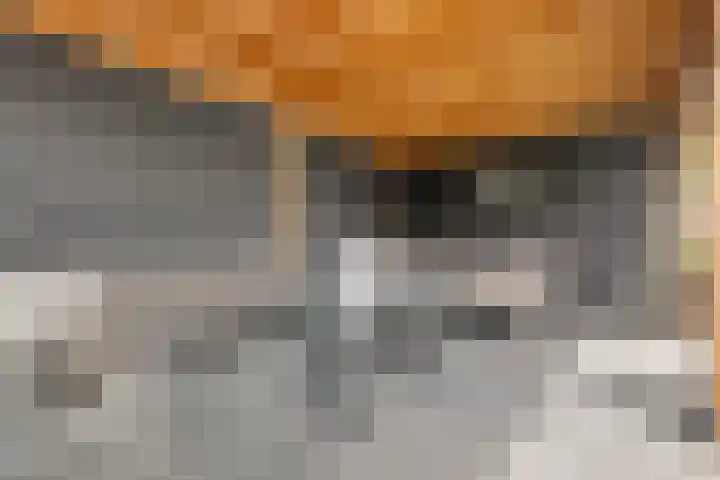 Laan der Kruisheren 59 Harkstede thumbnail 5