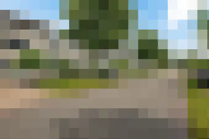 Laan der Kruisheren 59 Harkstede thumbnail 6