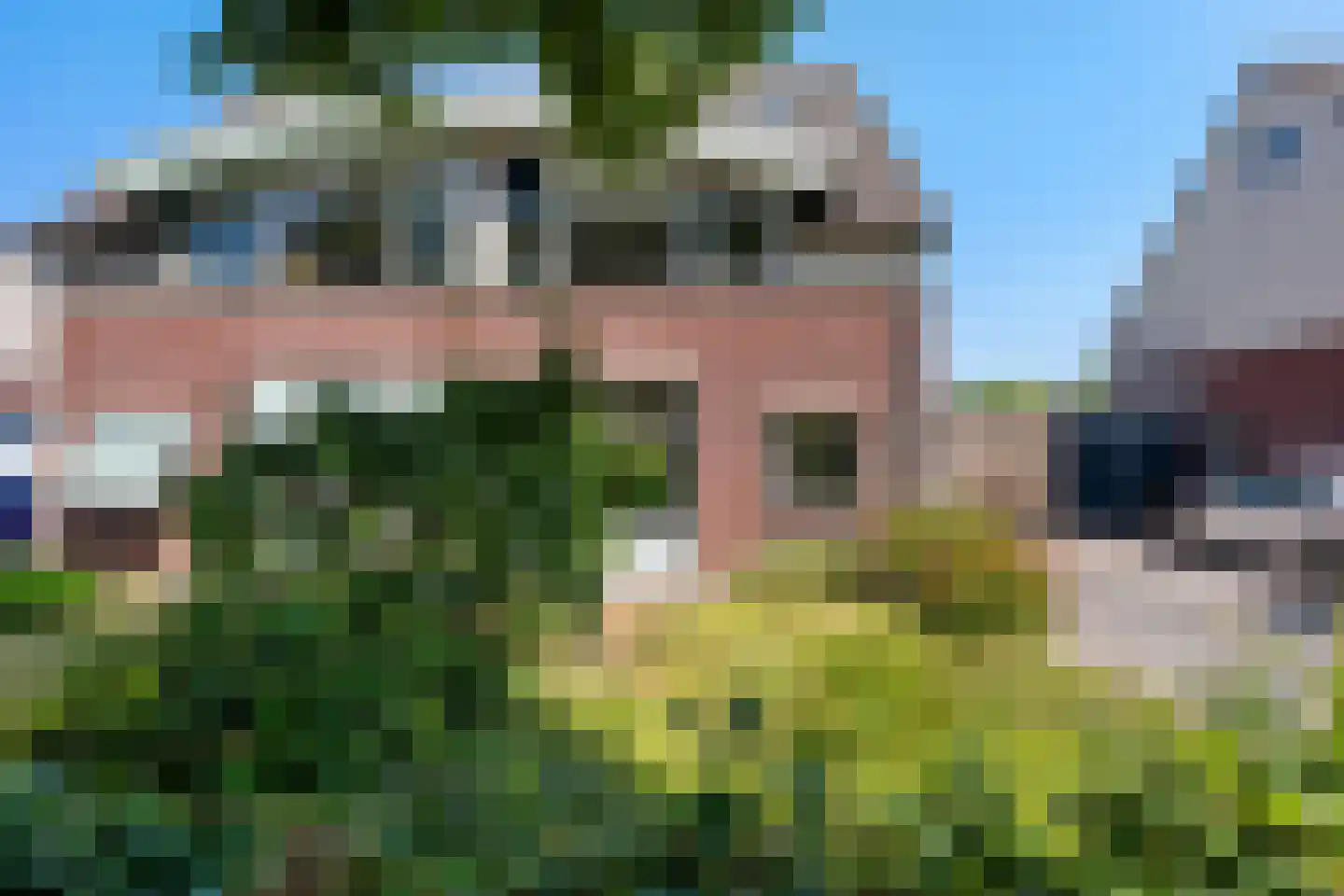 Laan der Kruisheren 85 Harkstede foto 2