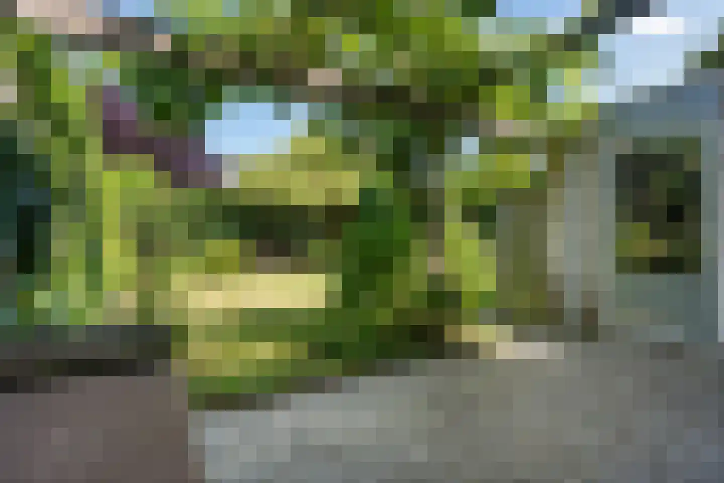 Laan der Kruisheren 85 Harkstede thumbnail 26