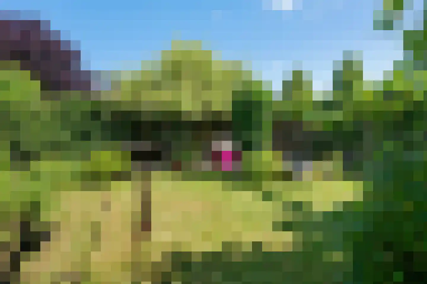Laan der Kruisheren 85 Harkstede thumbnail 28