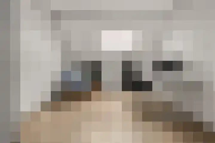 Laan der Mensenrechten 29 Beverwijk thumbnail 32