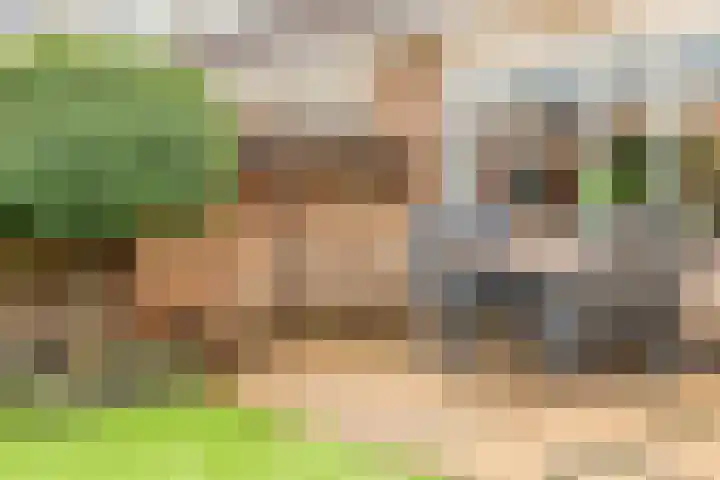 Laan der Mensenrechten 29 Beverwijk thumbnail 34