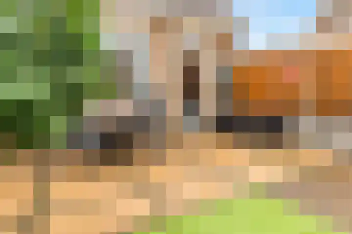 Laan der Mensenrechten 29 Beverwijk thumbnail 35