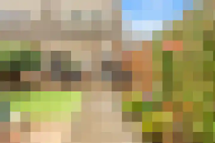 Laan der Mensenrechten 29 Beverwijk thumbnail 4