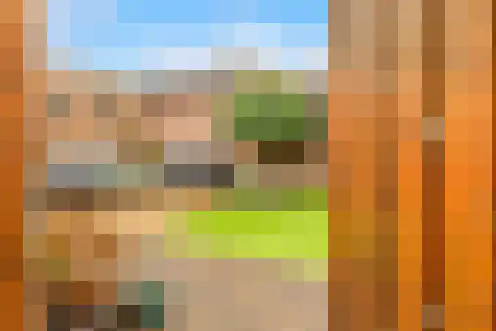 Laan der Mensenrechten 29 Beverwijk thumbnail 39