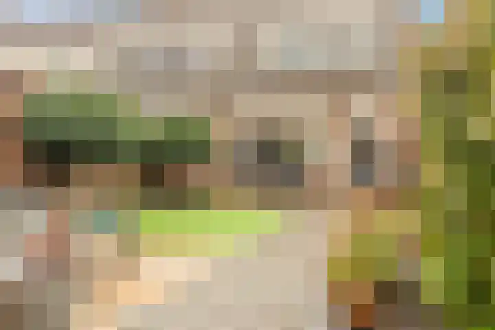Laan der Mensenrechten 29 Beverwijk thumbnail 40