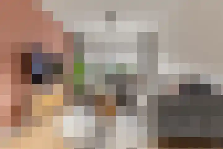 Laan der Mensenrechten 29 Beverwijk thumbnail 5