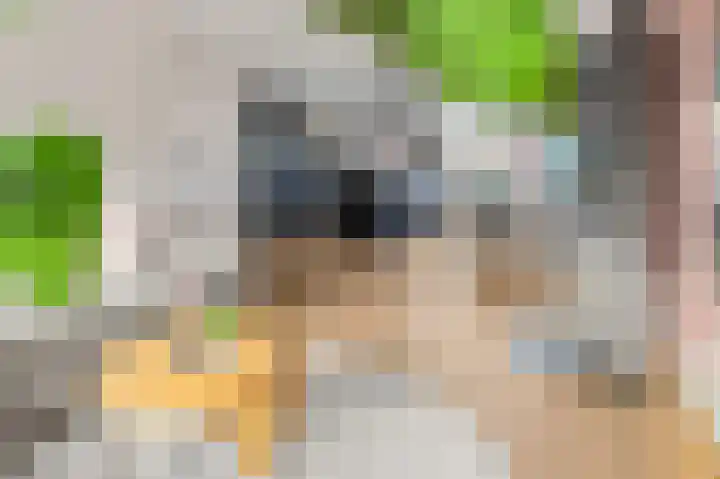 Laan der Mensenrechten 29 Beverwijk thumbnail 6