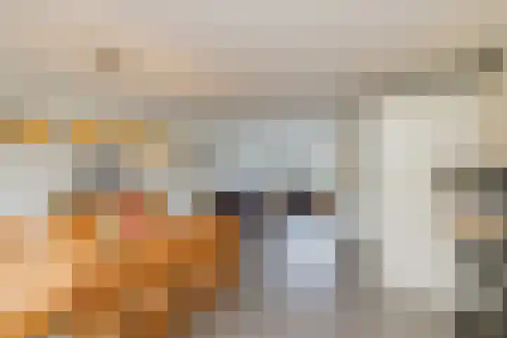 Laan der Mensenrechten 41 Beverwijk thumbnail 12
