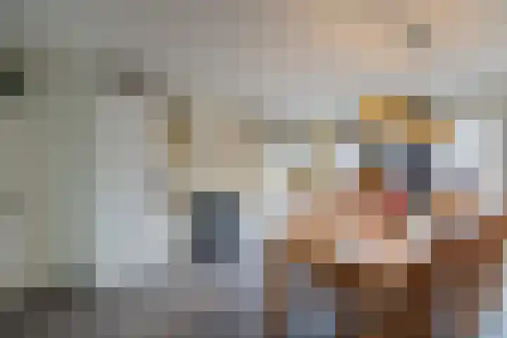 Laan der Mensenrechten 41 Beverwijk thumbnail 17