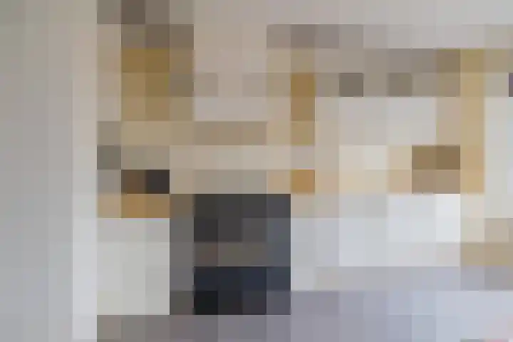 Laan der Mensenrechten 41 Beverwijk thumbnail 19