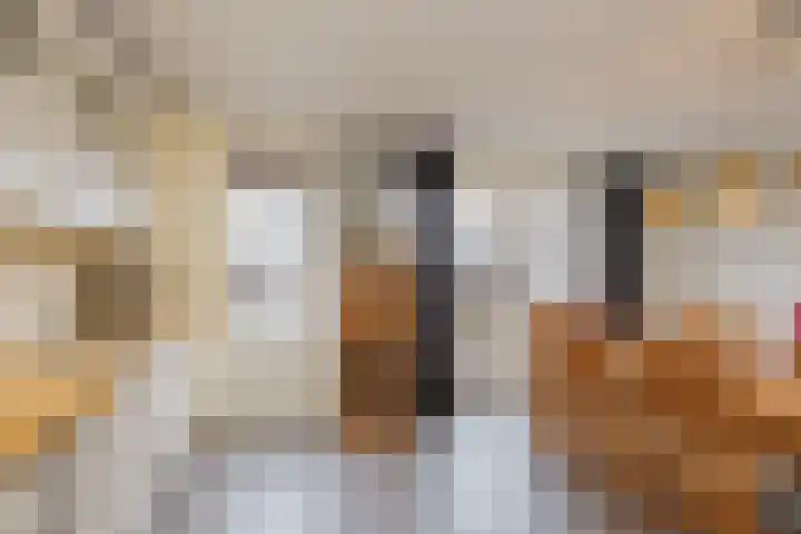 Laan der Mensenrechten 41 Beverwijk thumbnail 20