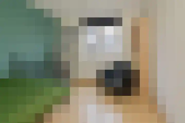 Laan der Mensenrechten 41 Beverwijk thumbnail 30
