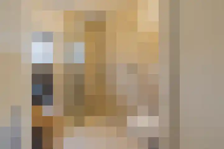 Laan der Mensenrechten 41 Beverwijk thumbnail 33