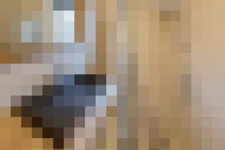 Laan der Mensenrechten 41 Beverwijk thumbnail 35