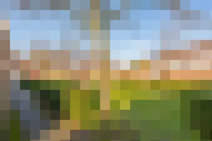Laan der Mensenrechten 41 Beverwijk thumbnail 44