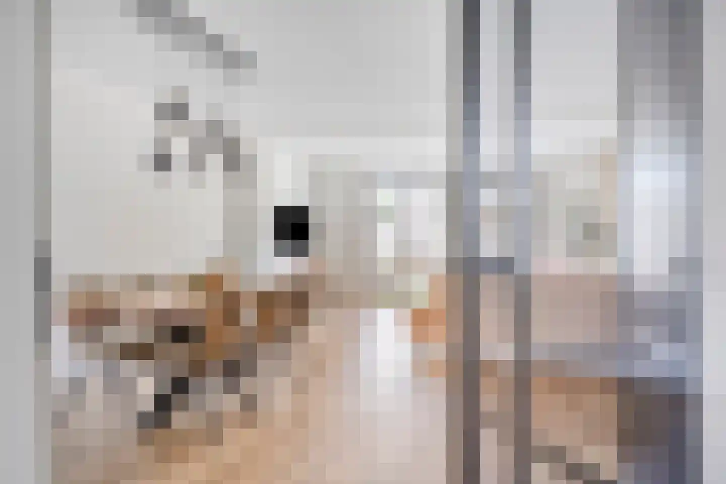 Laan der Middeleeuwen 11 Oss thumbnail 7